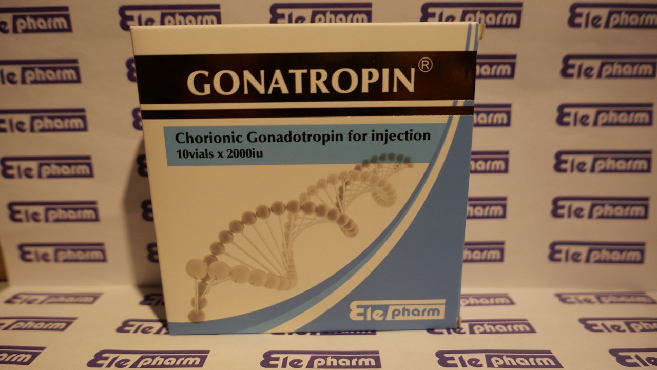 Gonatropin